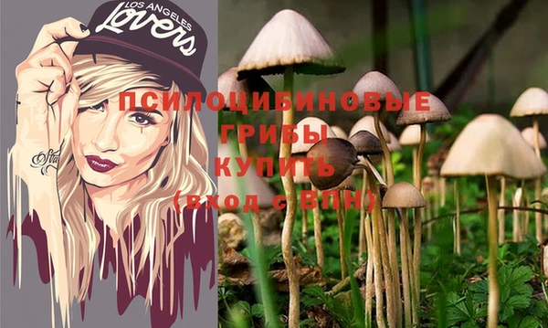 mix Алексин