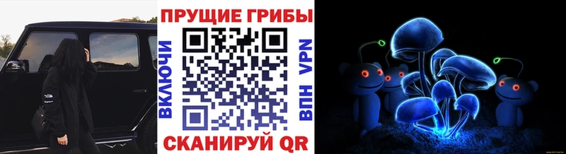 Галлюциногенные грибы мухоморы  где можно купить наркотик  Пойковский 
